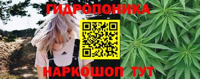 мяу мяу мука Ипатово