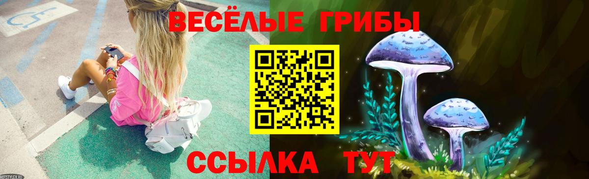 сколько стоит  Вход с VPN  Учалы  Галлюциногенные грибы прущие грибы 